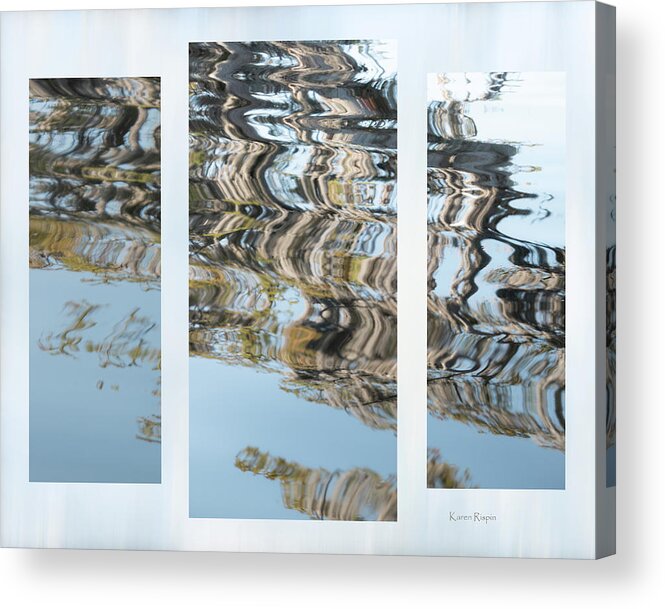 Taxodium Acrylic Print featuring the photograph Bald cypress reflections by Phil And Karen Rispin