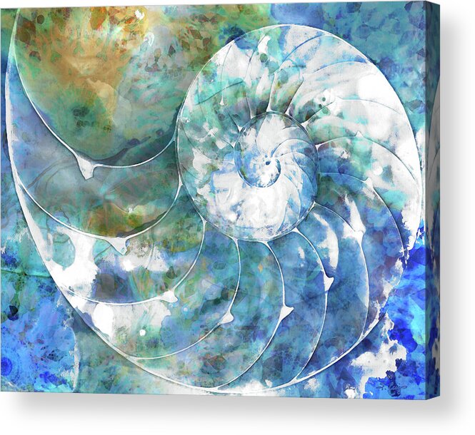 Blue Acrylic Print featuring the painting Beach Nautilus Shell Art - Sea Swept by Sharon Cummings