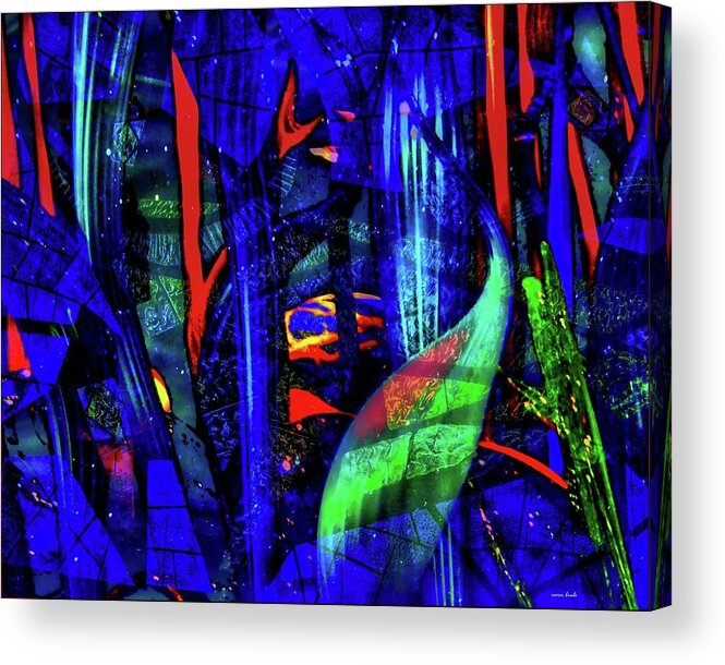Colors Acrylic Print featuring the digital art Beautiful Balance by Norman Brule