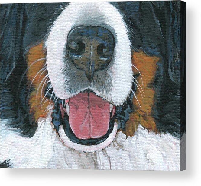 Bernese Mountain Dog Acrylic Print featuring the painting Bernese Mountain Dog Mask 2 by Nadi Spencer