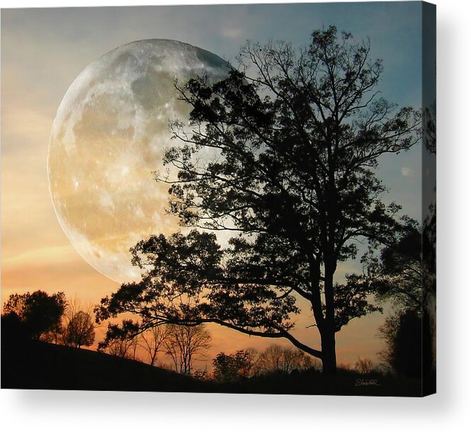 Moon Acrylic Print featuring the photograph Big Moon in Sunset by Shara Abel