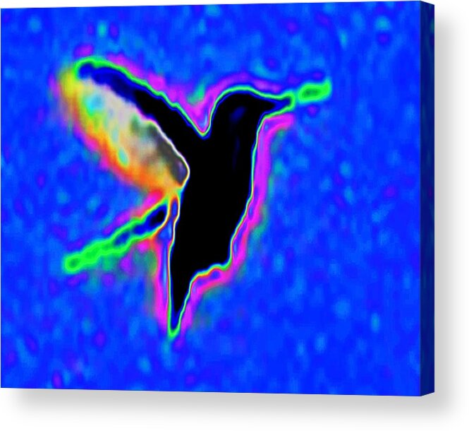 Bird Acrylic Print featuring the photograph Bird Spirit by Andrew Lawrence