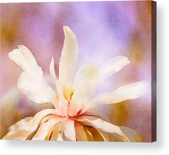 Spring Acrylic Print featuring the mixed media Blooming Magnolia Watercolor by Susan Rydberg