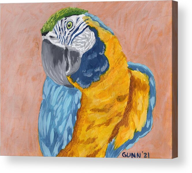 Macaw Acrylic Print featuring the painting Blue and Gold Macaw by Katrina Gunn