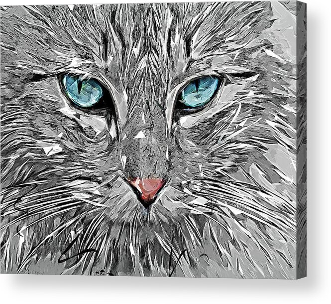 Blue Acrylic Print featuring the painting Blue Eyes Elegant Norwegian Forest Cat by Custom Pet Portrait Art Studio
