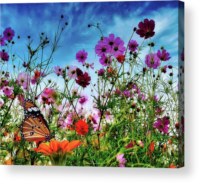 Wildflowers Acrylic Print featuring the digital art Butterfly Garden by Norman Brule
