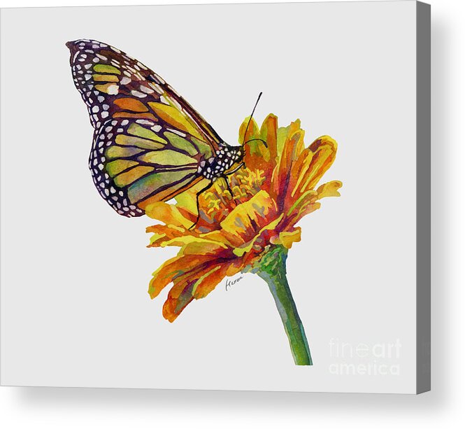 Butterfly Acrylic Print featuring the painting Butterfly Kiss on White by Hailey E Herrera