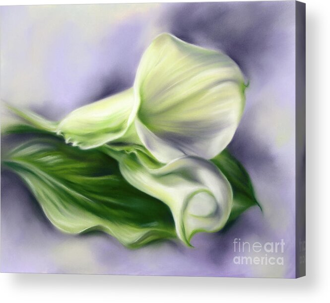 Botanical Acrylic Print featuring the painting Calla Flowers and Leaf on Purple by MM Anderson