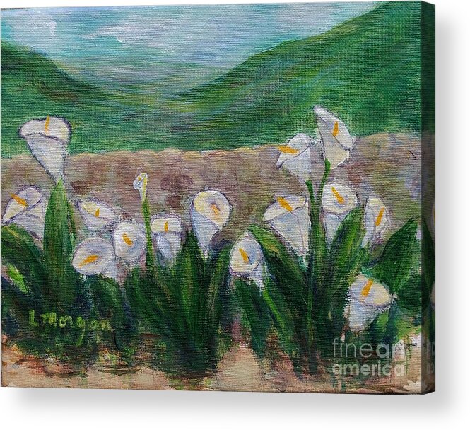 Calla Acrylic Print featuring the painting Calla Lilies by the Stone Wall by Laurie Morgan