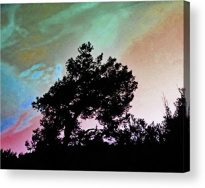 Tree Acrylic Print featuring the photograph Classic Leaning Tree by Andrew Lawrence