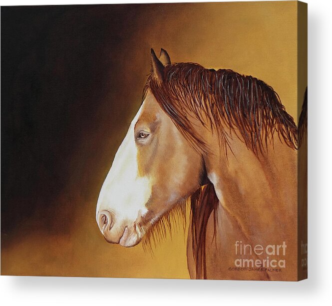 Clydesdale Horse Acrylic Print featuring the painting Clydesdale by Gordon Palmer