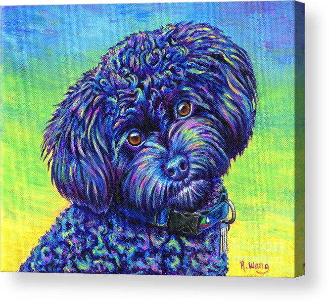 Poodle Acrylic Print featuring the painting Opalescent - Black Toy Poodle by Rebecca Wang