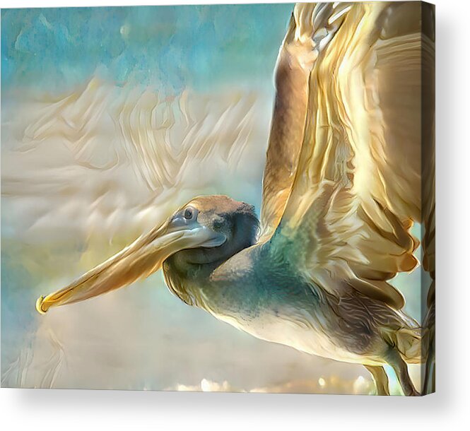 Pelican Acrylic Print featuring the mixed media Colorful Pelican Art by Debra Kewley