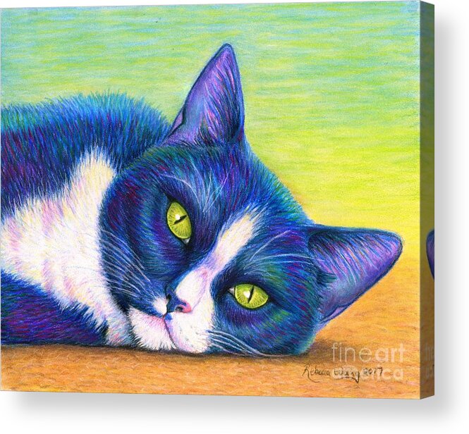 Cat Acrylic Print featuring the drawing Colorful Tuxedo Cat by Rebecca Wang