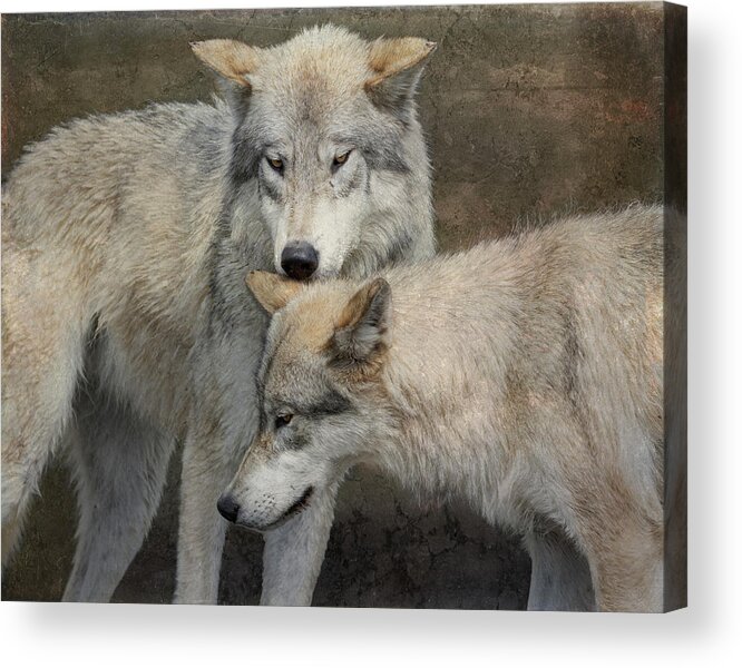 Fine Art Photography Acrylic Print featuring the photograph Companions by Mary Hone