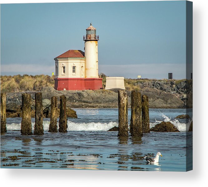 2018 Acrylic Print featuring the photograph Coquille River Lighthouse and Gull by Gerri Bigler