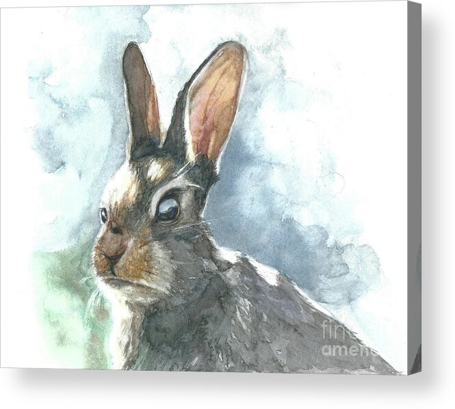 Rabbit Acrylic Print featuring the painting Cottontail Rabbit by Pamela Schwartz