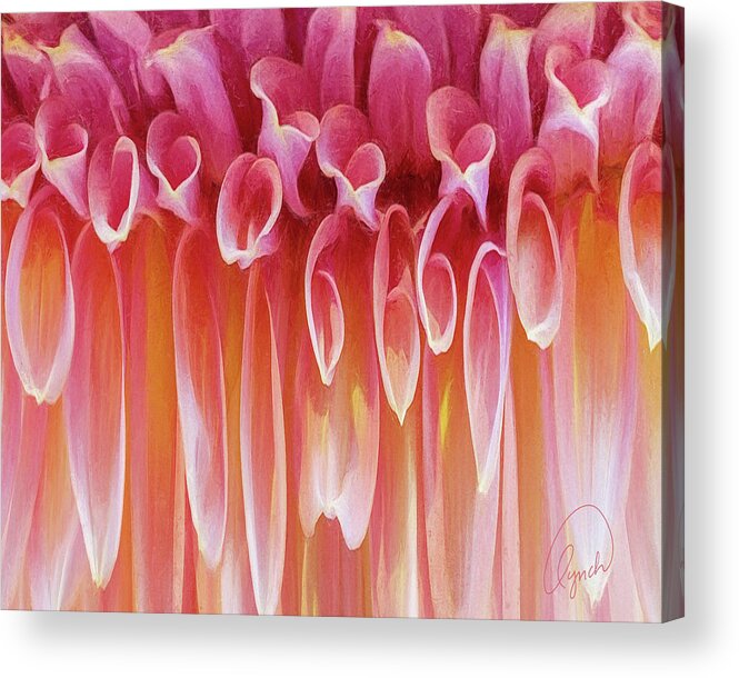 Abstract Acrylic Print featuring the photograph Dahlia by Karen Lynch