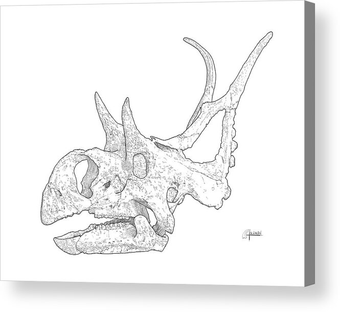 Diabloceratops Acrylic Print featuring the digital art Diabloceratops BW by Rick Adleman