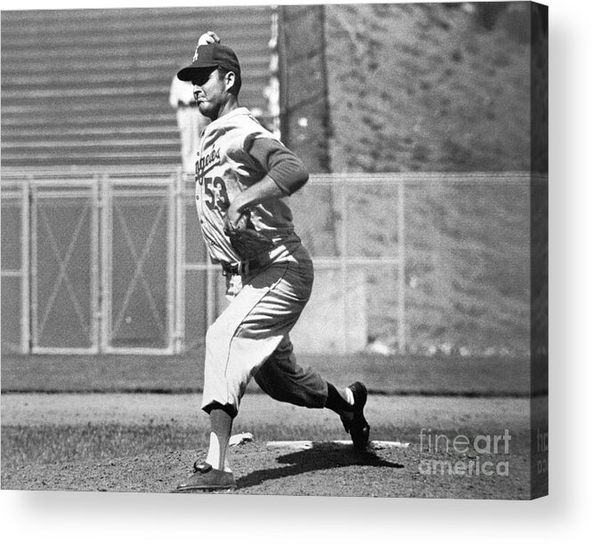 1950-1959 Acrylic Print featuring the photograph Don White by National Baseball Hall Of Fame Library
