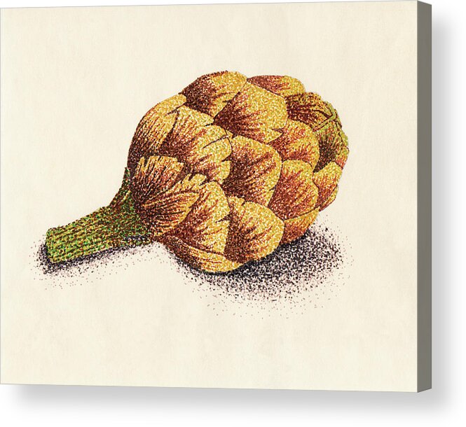 Pointillism Acrylic Print featuring the drawing Dotted Artichoke by Heather E Harman
