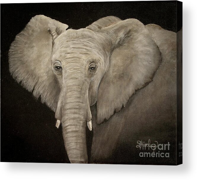 Elephant Acrylic Print featuring the painting The Elephant by Shirley Dutchkowski