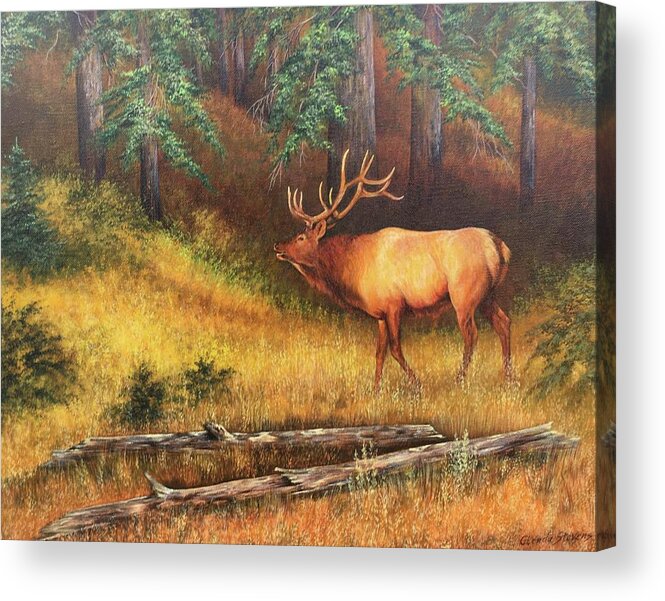 Elk Acrylic Print featuring the painting Elk by Glenda Stevens