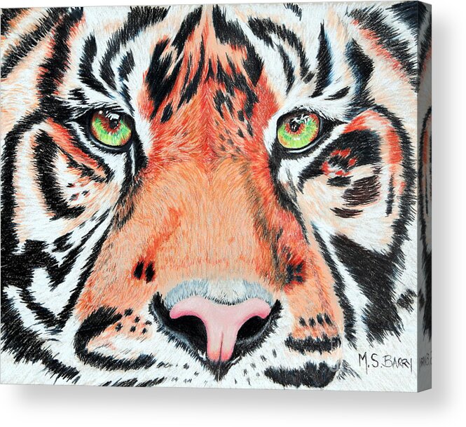 Tiger Acrylic Print featuring the painting Eye of the Tiger by Maria Barry