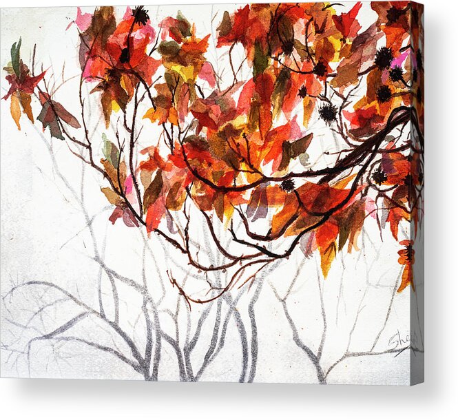 Art - Watercolor Acrylic Print featuring the painting Fall Leaves - Watercolor Art by Sher Nasser