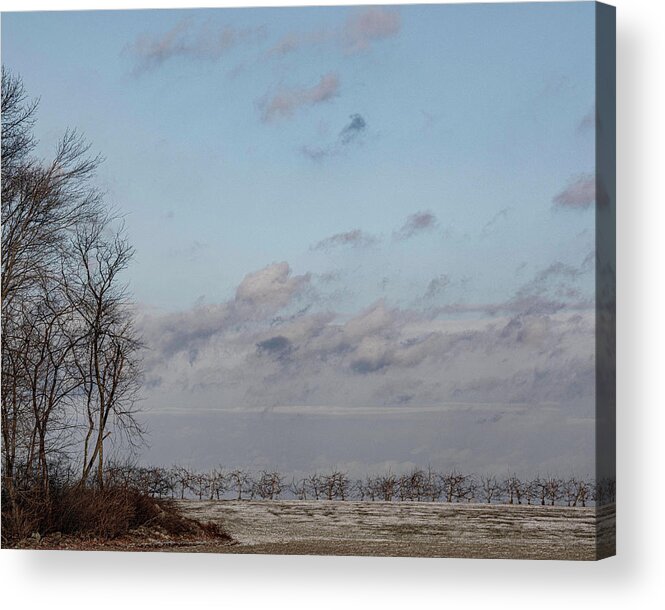 Cold Acrylic Print featuring the photograph February 2022 by George Pennington