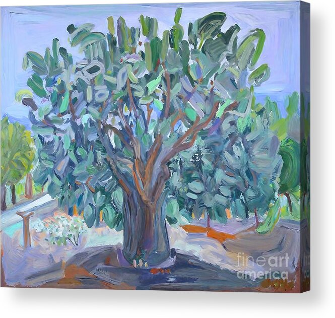Quarantine Acrylic Print featuring the painting Fig tree in Quarantine Painting quarantine plein air cat fig tree backyard background beautiful branch bright crown environment foliage forest green growth landscape leaf leaves light nature old by N Akkash