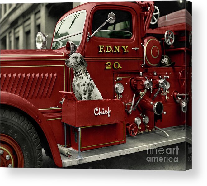  Acrylic Print featuring the photograph Fire Engine F.D.N.Y by Franchi Torres