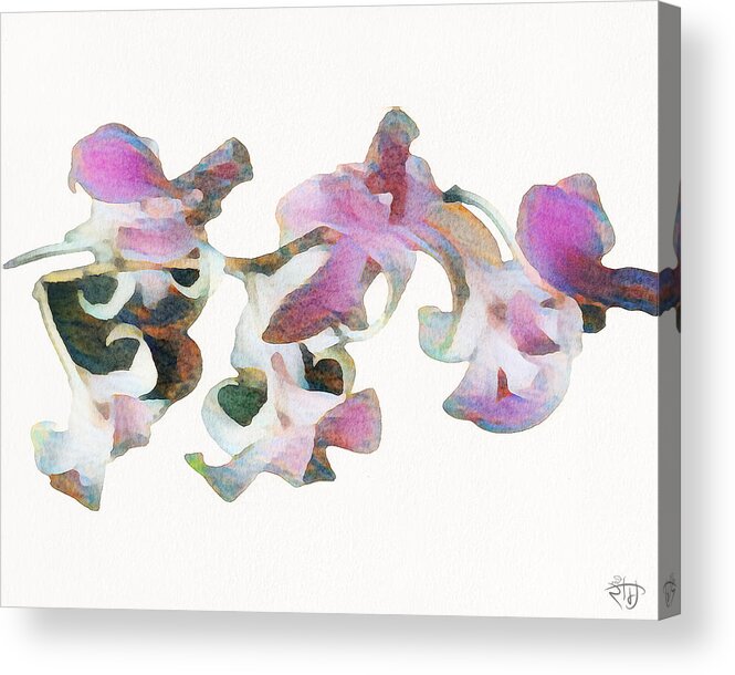 Flowers Acrylic Print featuring the digital art Floral Study 15 by Red Ram
