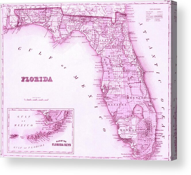 Florida Acrylic Print featuring the photograph Florida Map Pink by Laura Fasulo