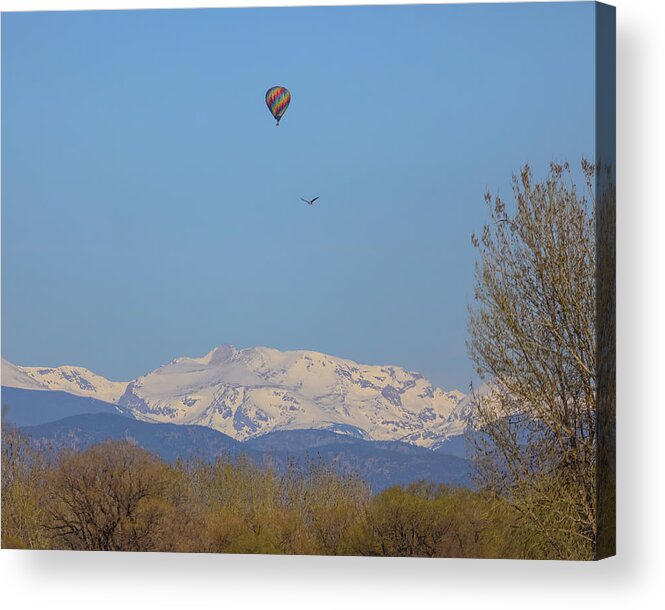 Hot Air Balloon Acrylic Print featuring the photograph Flying High by James BO Insogna