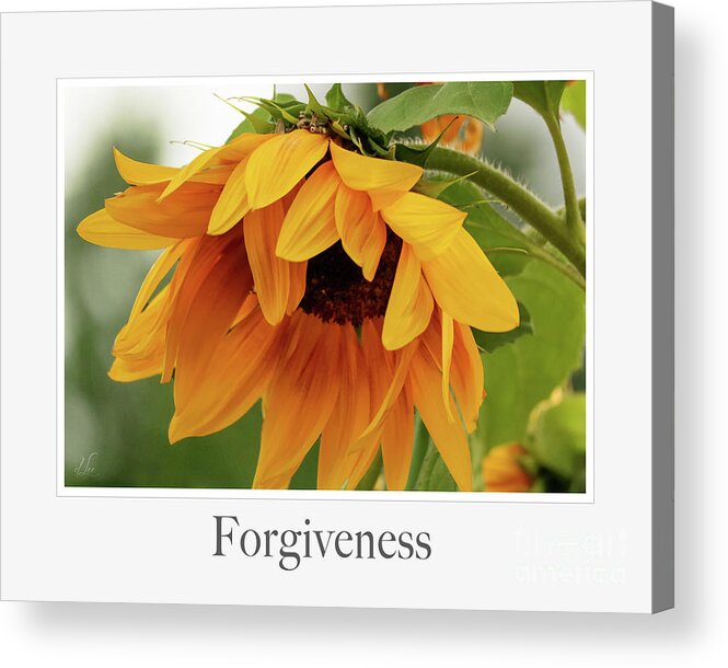 Emotions Acrylic Print featuring the photograph Forgiveness by D Lee