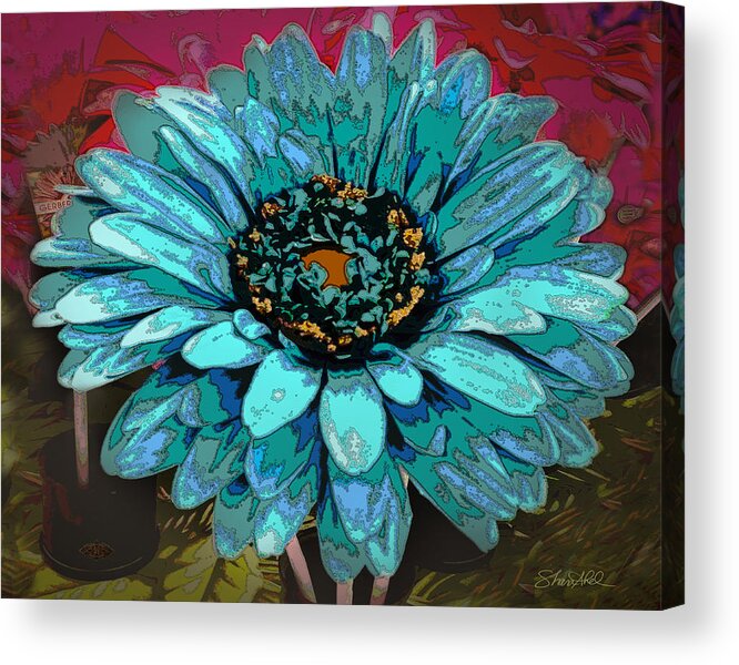 Flower Acrylic Print featuring the photograph Gerber Daisy by Shara Abel