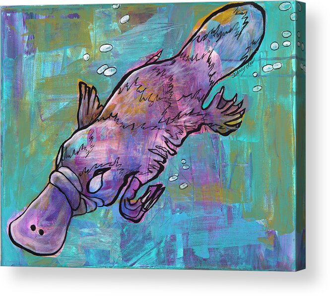 Platypus Acrylic Print featuring the painting Graceful Glide by Darcy Lee Saxton