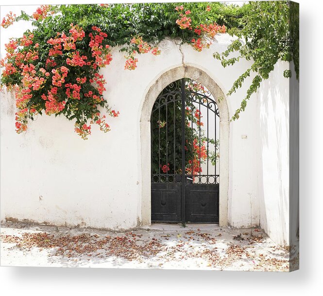 Greece Acrylic Print featuring the photograph Greece Flowers Four by Lupen Grainne