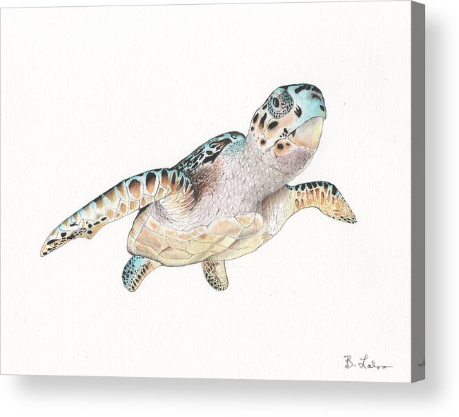 Sea Turtle Acrylic Print featuring the painting Green Sea Turtle by Bob Labno