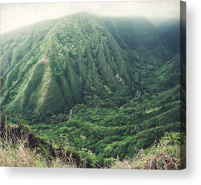 Hawaii Acrylic Print featuring the photograph Green Valley by Lupen Grainne