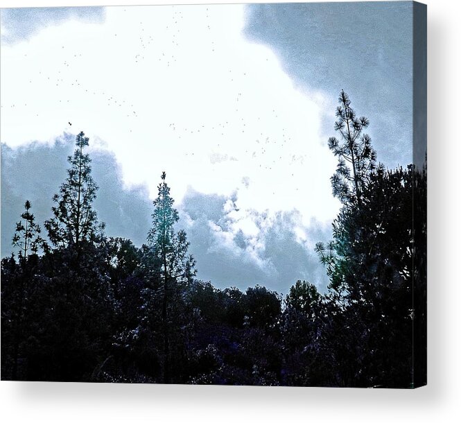 Tree Acrylic Print featuring the photograph Grey Days by Andrew Lawrence