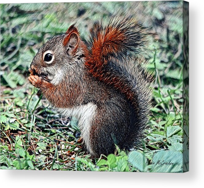 Squirrel Acrylic Print featuring the digital art Ground Squirrel by Pennie McCracken