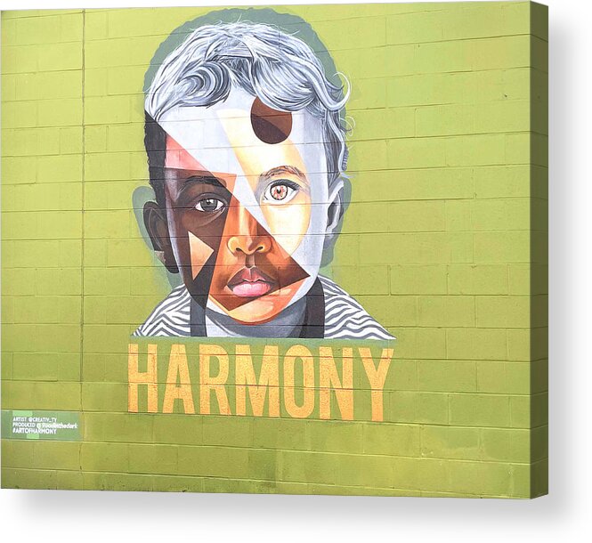 Mural Acrylic Print featuring the photograph Harmony by Lee Darnell