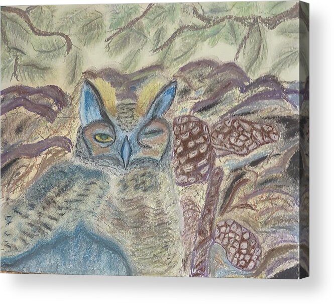 Horned Owl Acrylic Print featuring the pastel Horned Owl Nesting by Suzanne Berthier