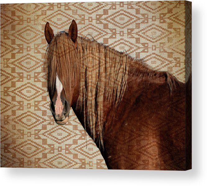 Wild Horses Acrylic Print featuring the photograph Horse Blanket by Mary Hone