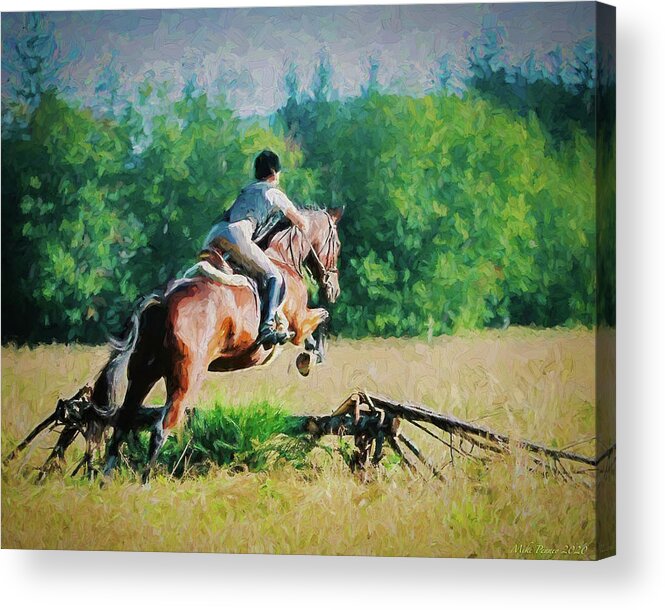 Horse Acrylic Print featuring the photograph Horses 020 by Mike Penney