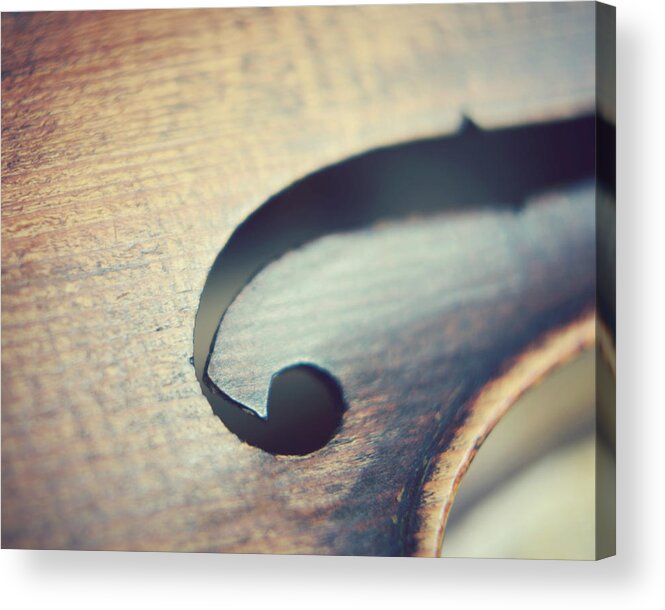 Violin Acrylic Print featuring the photograph Joyful Sounds by Lupen Grainne