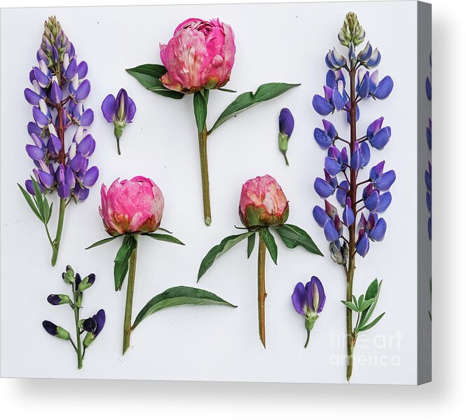 Flat Lay Acrylic Print featuring the photograph June by Laura Honaker