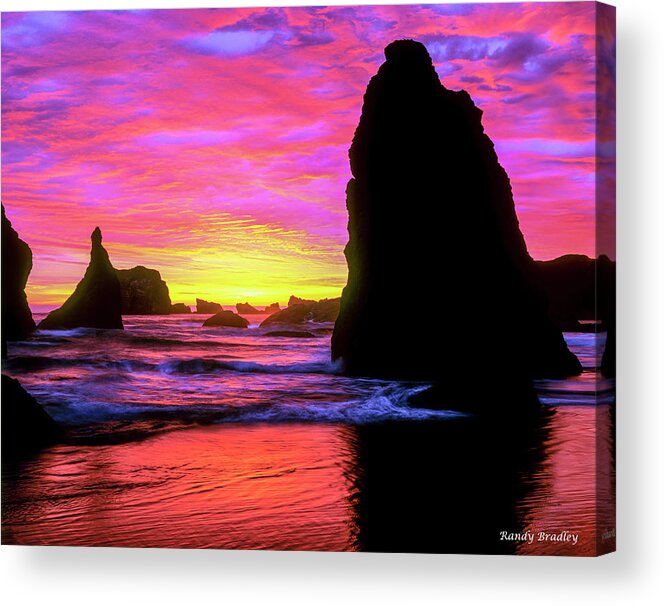 West Coast Acrylic Print featuring the photograph Magenta Explosion by Randy Bradley